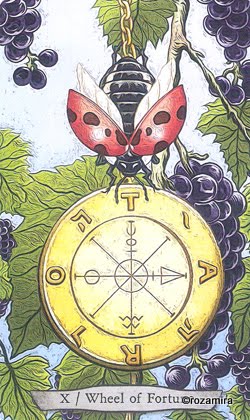 Animal Totem Tarot